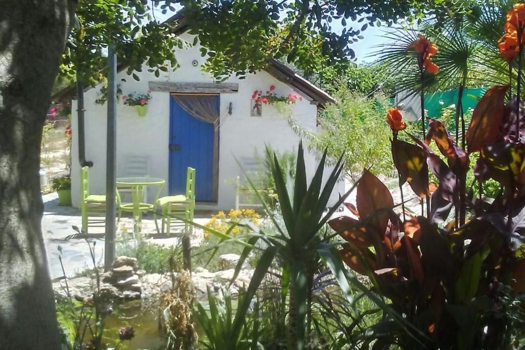 Willa Vivienda Rural La Choza Jerez de la Frontera Zewnętrze zdjęcie