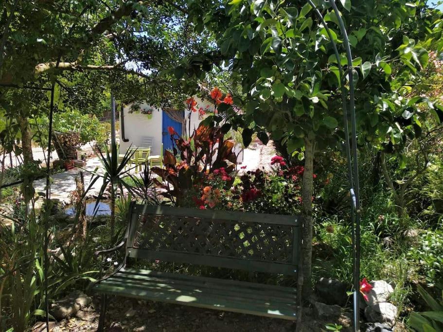 Willa Vivienda Rural La Choza Jerez de la Frontera Zewnętrze zdjęcie