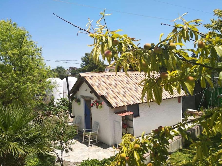 Willa Vivienda Rural La Choza Jerez de la Frontera Zewnętrze zdjęcie