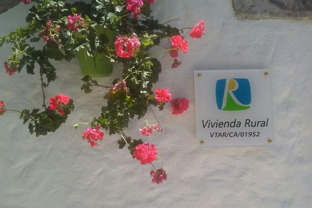 Willa Vivienda Rural La Choza Jerez de la Frontera Zewnętrze zdjęcie