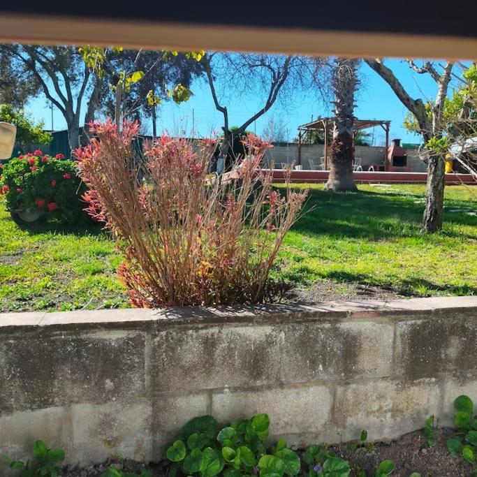 Willa Vivienda Rural La Choza Jerez de la Frontera Zewnętrze zdjęcie